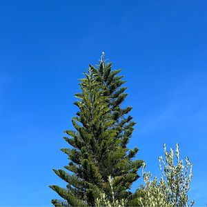 Meet your Posher, Nathalie